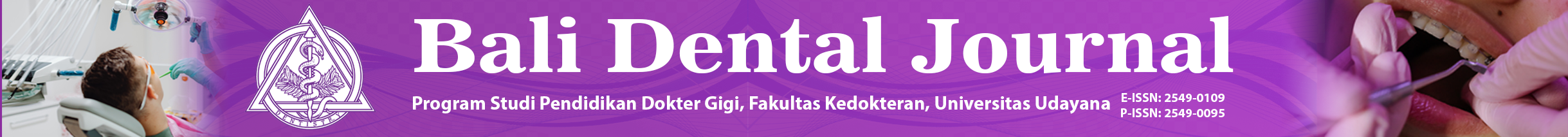 Page Header Logo